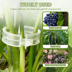 Oddmmo combinable plant support clips demonstrate adjustable grip