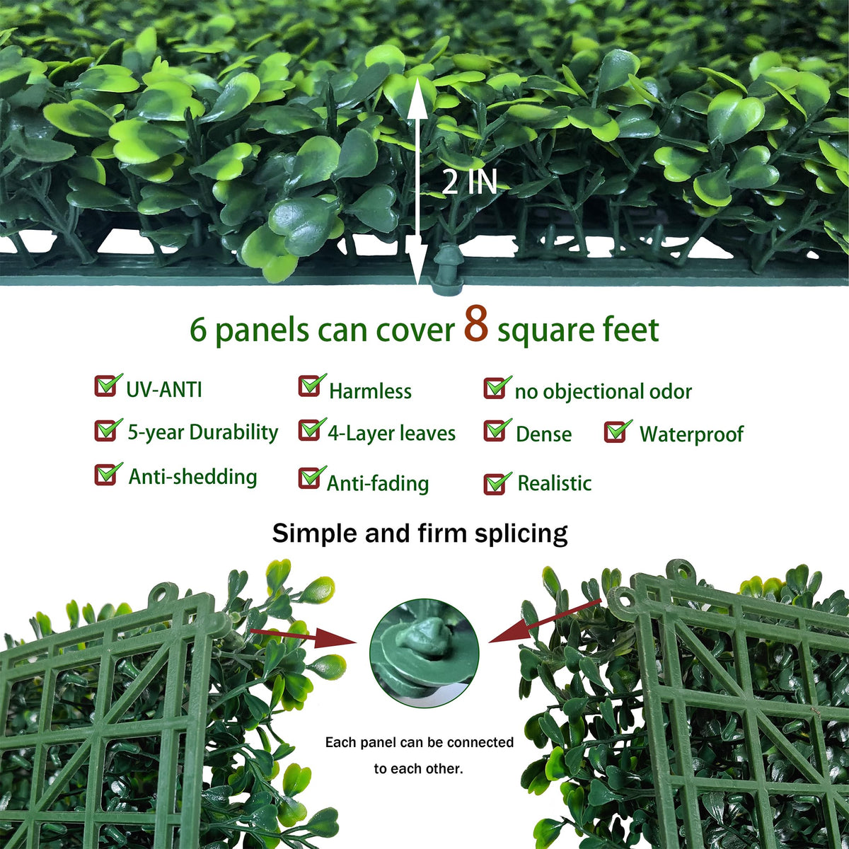 ODTORY boxwood leaves close-up emphasizing dense texture and realistic greenery.