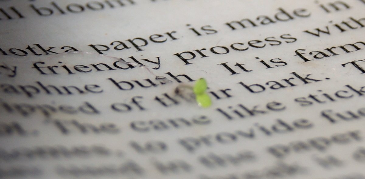 Of The Earth Nepal handmade paper supports sustainable craft communities