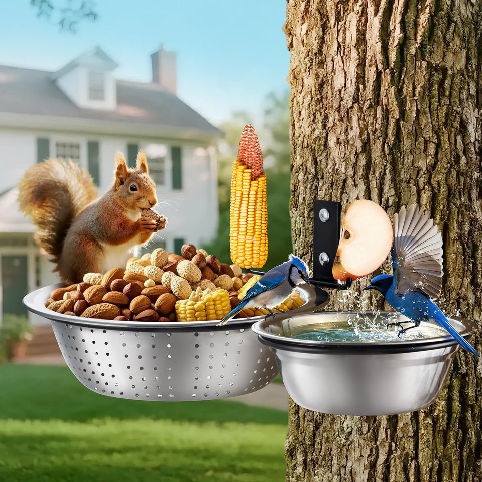Ofasixx two-hoop feeder with 8.6 inch drainage bowl keeps seeds dry for birds and squirrels
