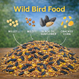 Office Roast seed blend ingredients: millet, milo, and black oil sunflower seeds for energy