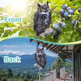 OffiCreative owl reflector by window helps protect plants from birds