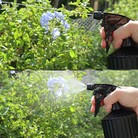 OFFIDIX glass spray bottle indoor plants ideal for gentle watering