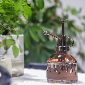 OFFIDIX Morning Dew spray bottle for gentle leaf misting of houseplants.