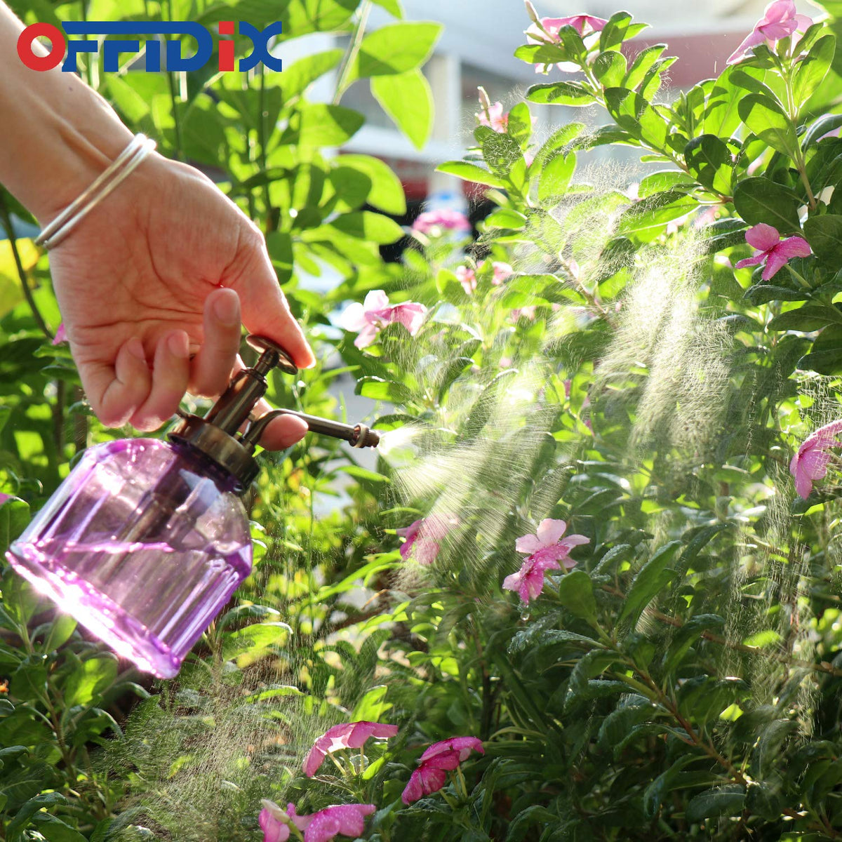 OFFIDIX elegant purple glass sprayer enhances a plant stand or bookshelf