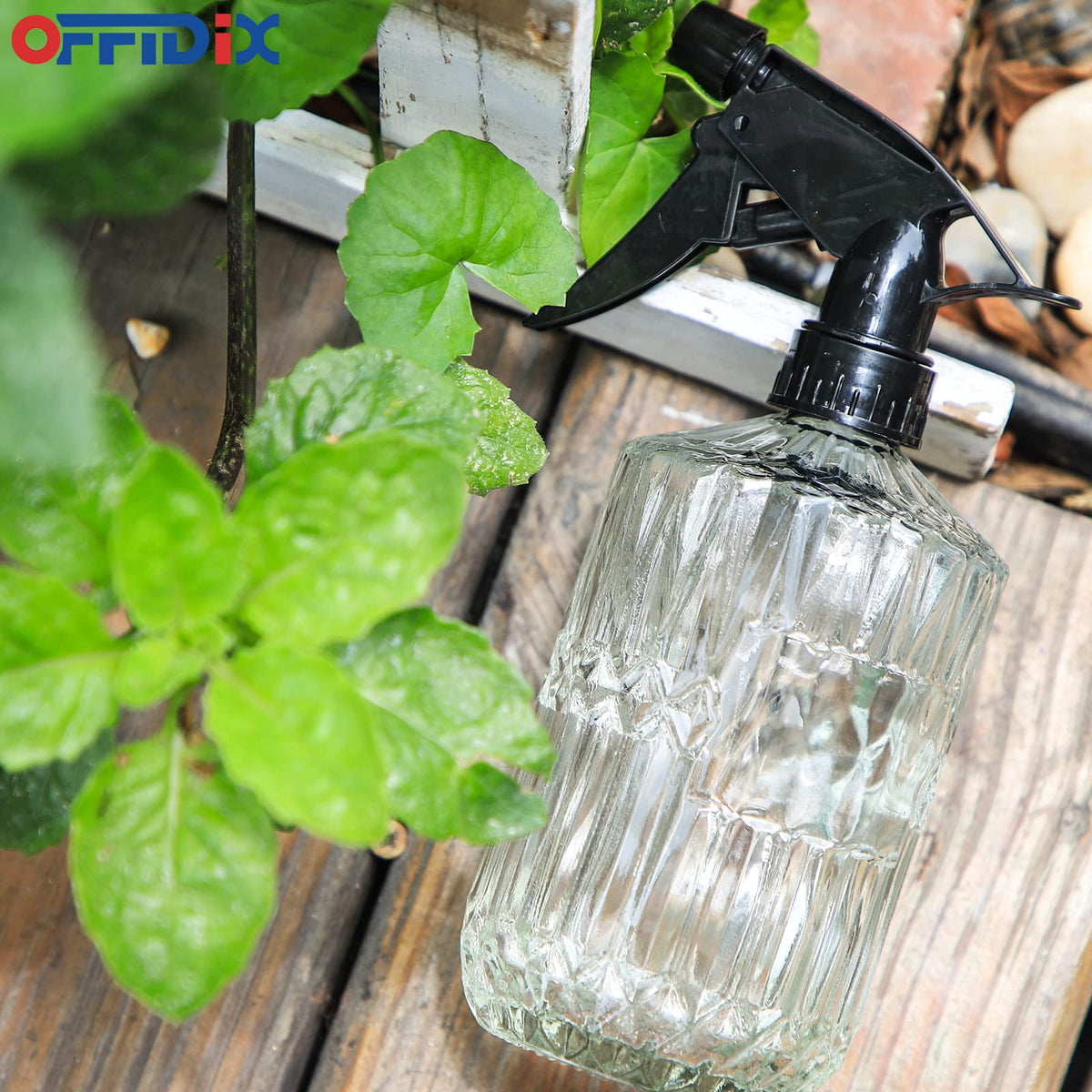 OFFIDIX succulent misting helps evenly hydrate indoor plants.