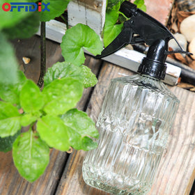 OFFIDIX succulent misting helps evenly hydrate indoor plants.