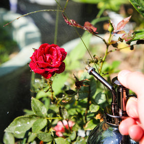 OFFIDIX thickened glass body resists impact while keeping water visible