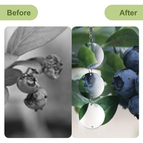 OFFO bird scare discs double-sided mirrors reflecting sunlight to deter birds