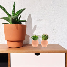 OFFSCH cactus in pot ideal for shelves and desks.