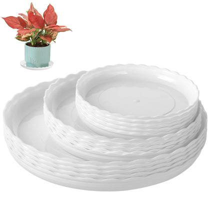 OFiSEXPT balance saucer 6-inch for stable pots and controlled drainage