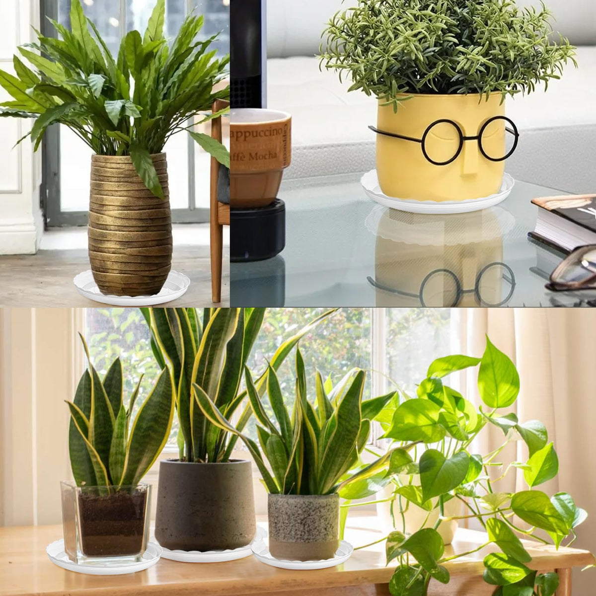 OFiSEXPT durable plastic saucer for indoor and outdoor plant use