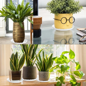 OFiSEXPT durable plastic saucer for indoor and outdoor plant use