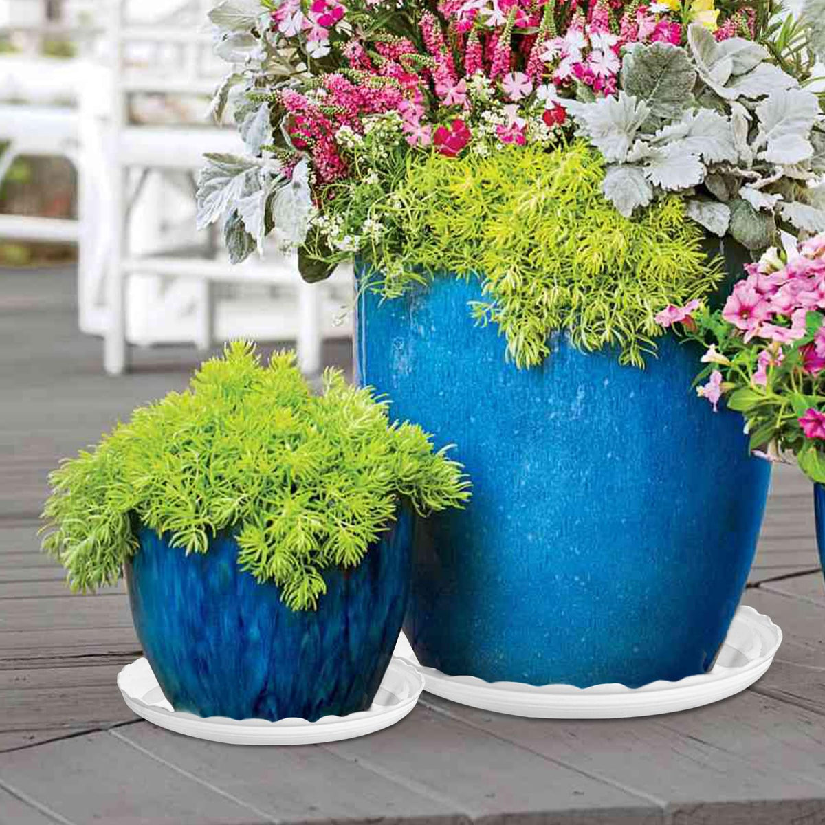 OFiSEXPT mess-free gardening saucer catches drips and protects floors
