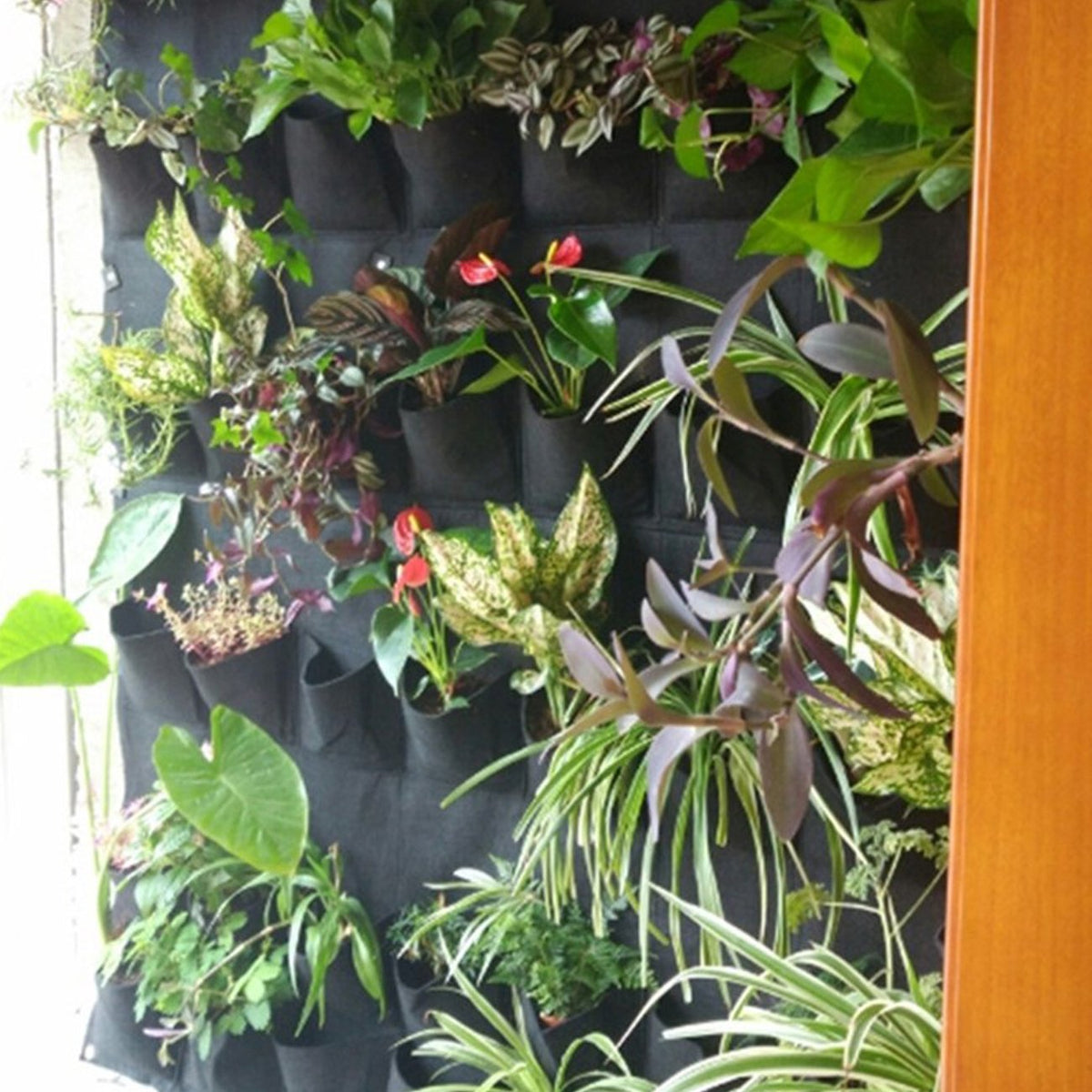 Ogrmar indoor-outdoor versatility suitable for balconies and patios.