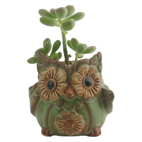 Ogrmar owl desk decor plant pot with greens