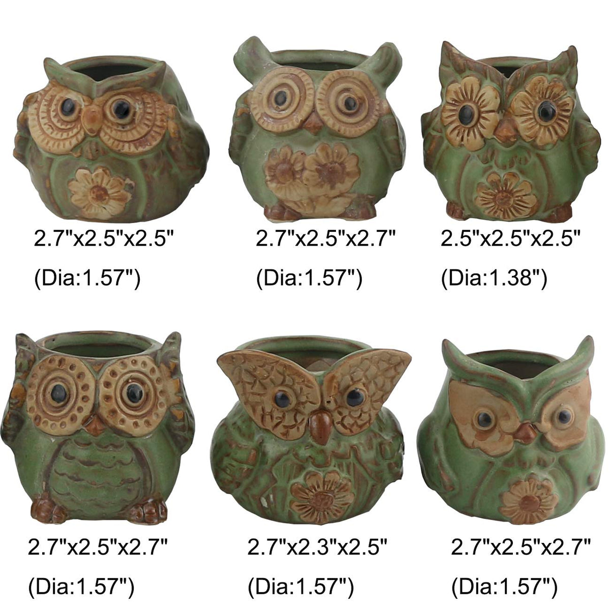 Ogrmar owl gift-ready packaging for plant lovers