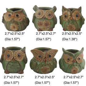 Ogrmar owl gift-ready packaging for plant lovers