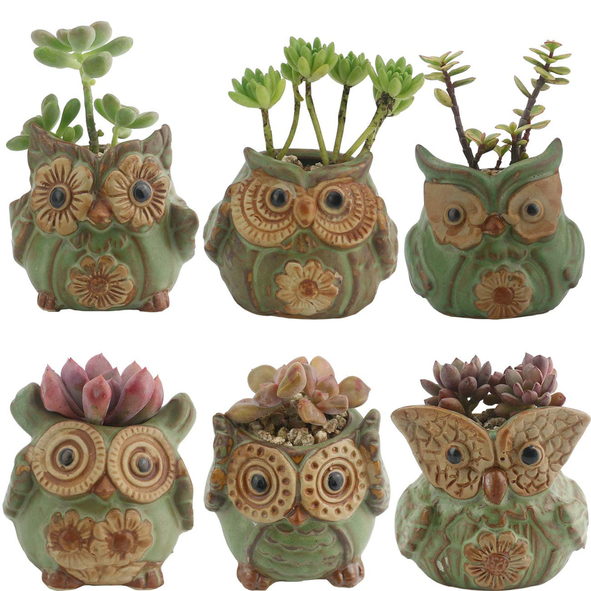 Ogrmar owl plant pot front view on a sunny window for desk decor