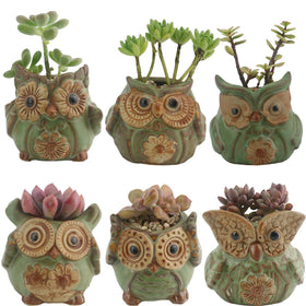 Ogrmar owl plant pot front view on a sunny window for desk decor