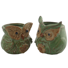 Ogrmar owl plant pot side view with green succulents