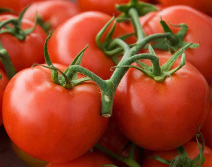 Ohio Heirloom Seeds Arkansas Traveler tomato fruit, ideal for fresh slicing in home gardens.