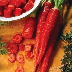 Ohio Heirloom Seeds Atomic Red carrot seed pack for a crisp, sweet harvest