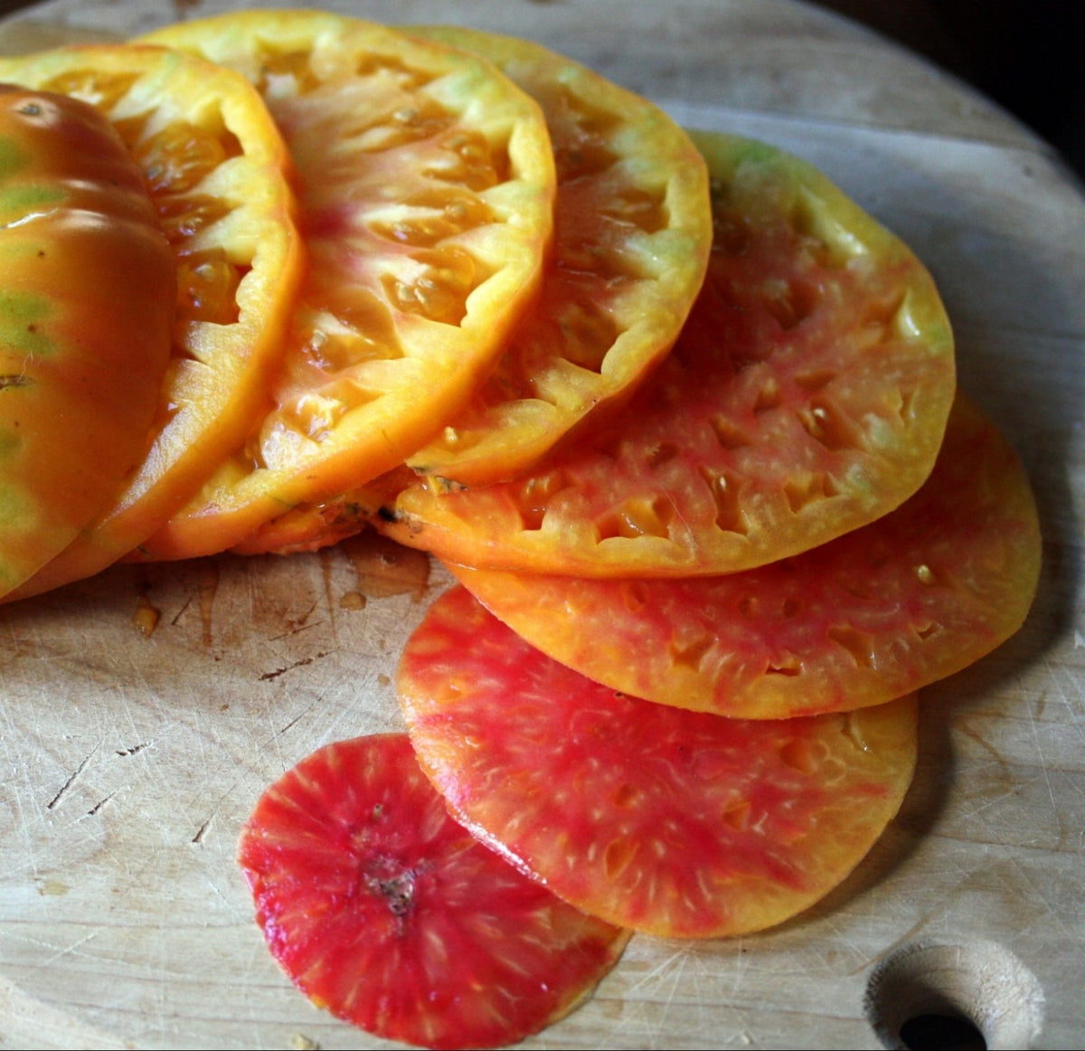 Ohio Heirloom Seeds Hillbilly Heirloom tomato close-up for fresh slicing.