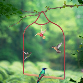 Ohmique Hummingbird Swing promotes peaceful backyard birdwatching.