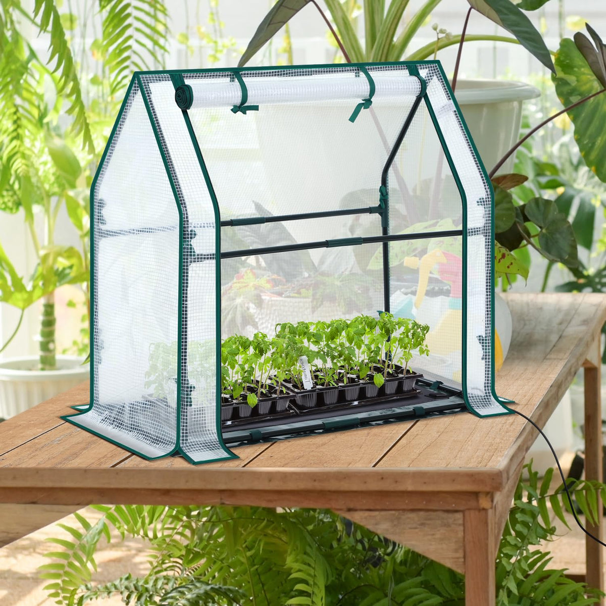 Ohuhu mini greenhouse easy assembly and portable design saves space during storage