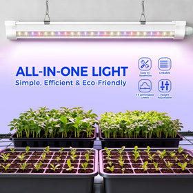 Ohuhu grow light full-spectrum closeup highlights vibrant spectrum for plant growth