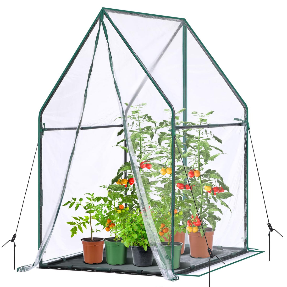 Ohuhu mini greenhouse with taller interior space for larger seedlings.