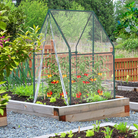 Ohuhu seedling germination environment supports even warmth and humidity.