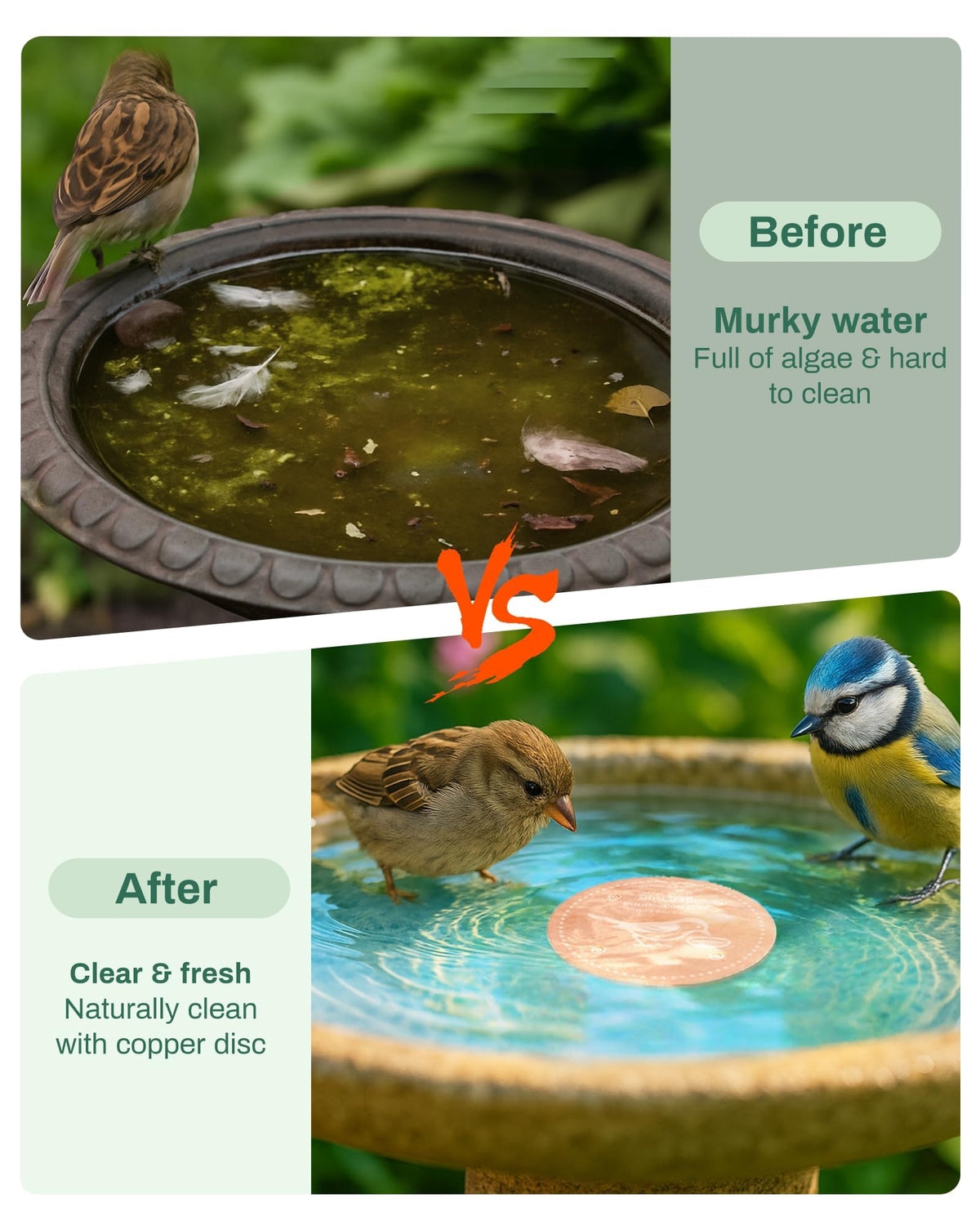 OICEME all-season purification disk supports year-round birdwater clarity