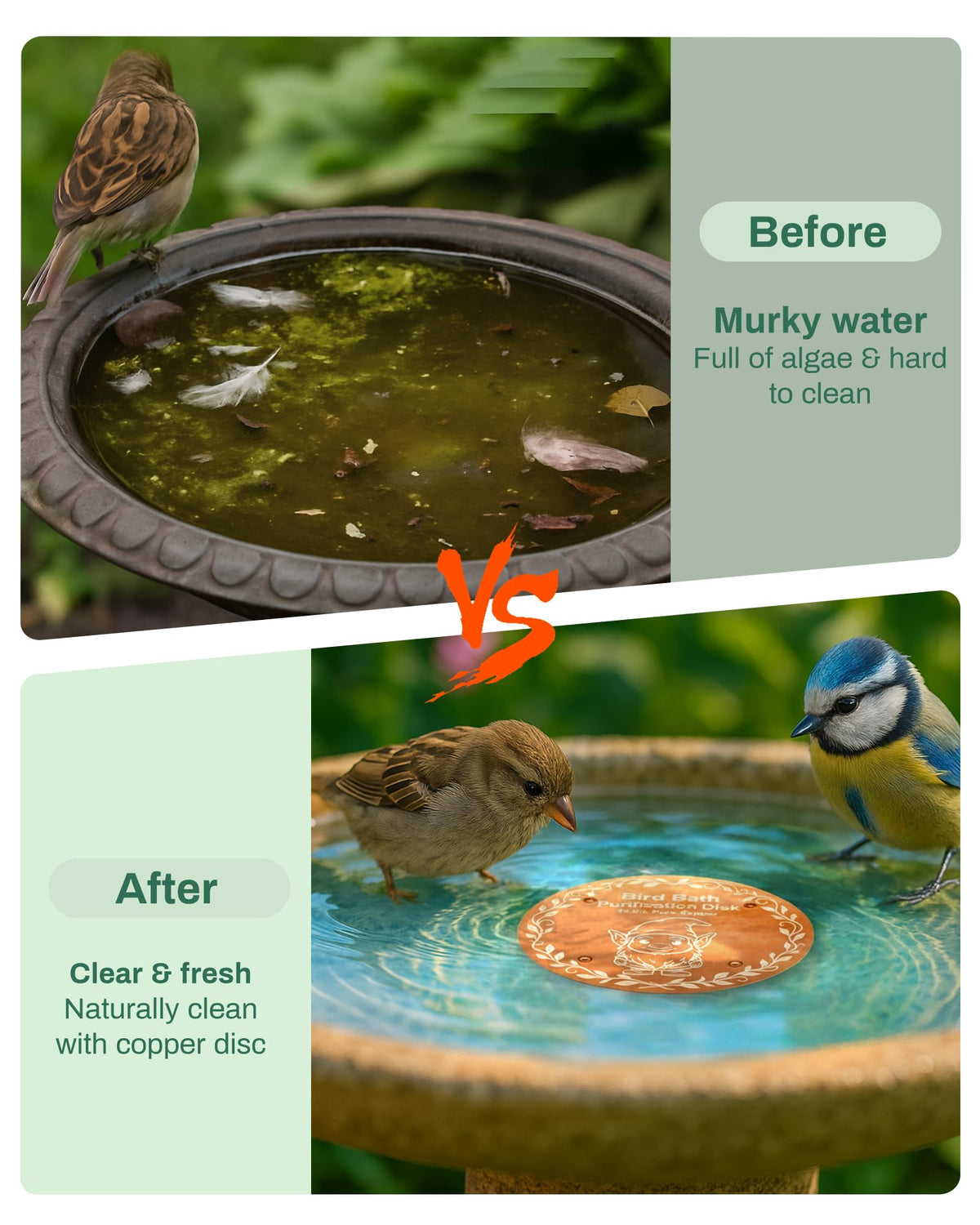 OICEME disc installed easily without tools beside a nectar feeder