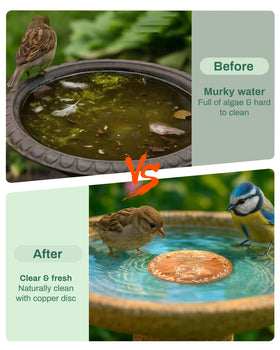 OICEME disc installed easily without tools beside a nectar feeder