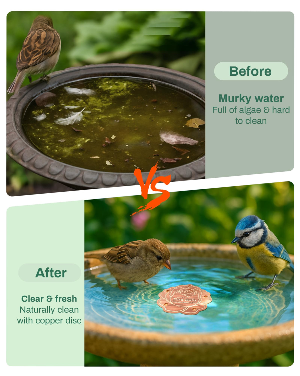 OICEME hanging-bird-bath disk fits hanging bowls for cleaner water.