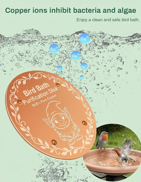 OICEME purification disc placed in a fountain keeps water clear
