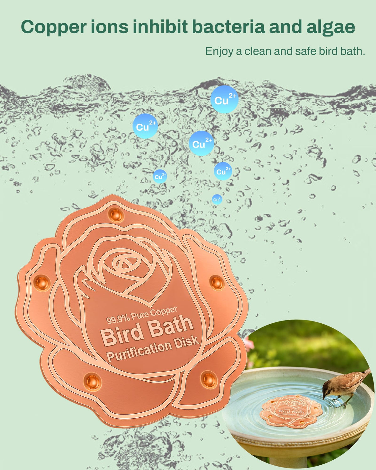 OICEME solar-powered birdbath disk uses sunlight for chemical-free filtration.