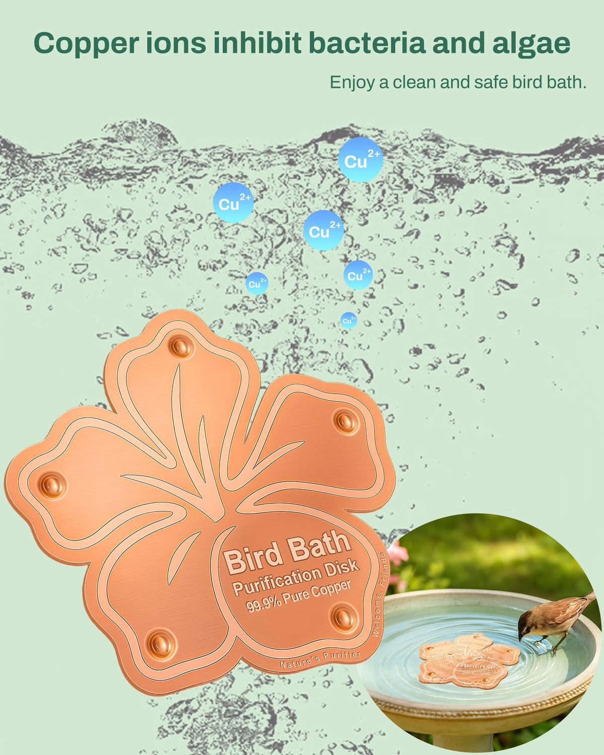 OICEME solar-ready birdbath setup demonstrates easy water care for year-round use.