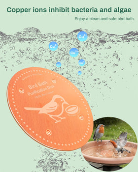 OICEME disk in birdbath water-clarity helps reduce buildup