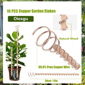 Oiexgu indoor plants with stakes elevate growth in pots and shelves