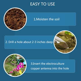 Oiexgu stake setup near plants supports beginner-friendly garden boosts