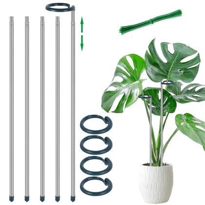 Oiissuz extendable Monstera stake in use supports lush foliage.