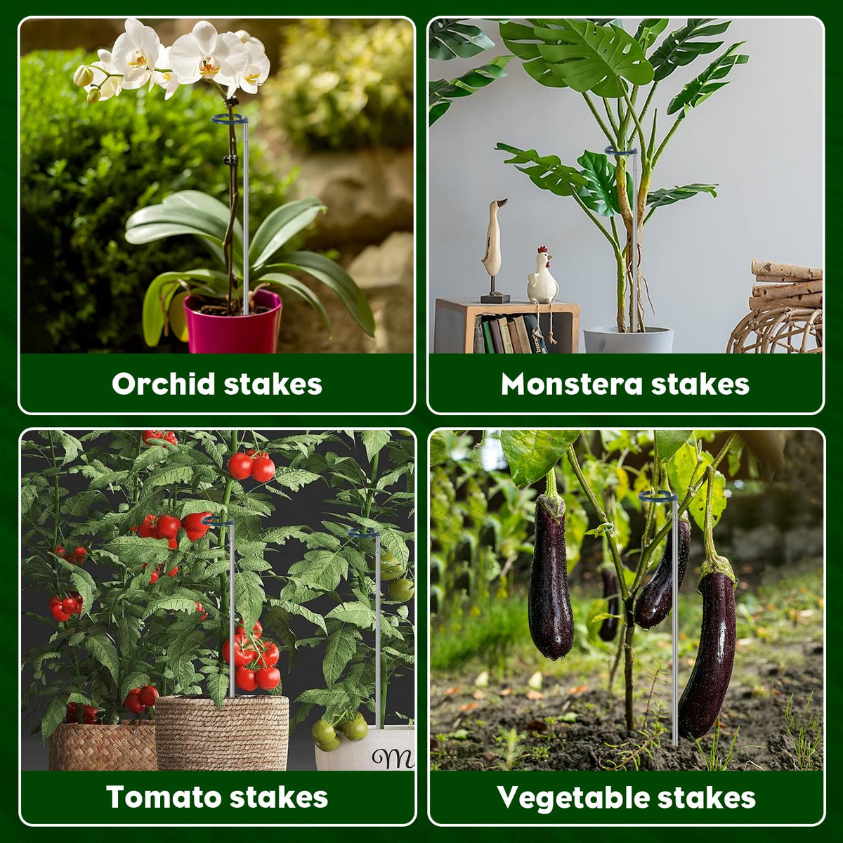 Oiissuz indoor-outdoor gardening with stake supports various plants.
