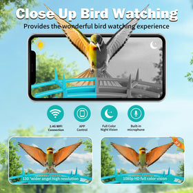 OIRHNL 2K HD video with color night vision captures day and night activity.