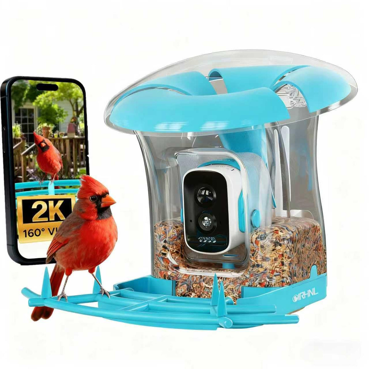 OIRHNL smart bird feeder with camera captures backyard birds clearly.