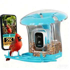 OIRHNL smart bird feeder with camera captures backyard birds clearly.