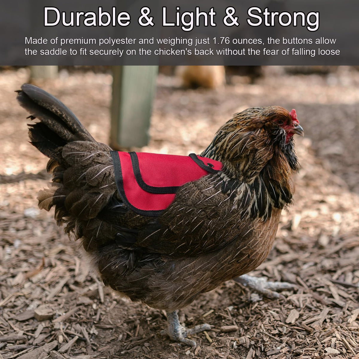 OIUXIMT six-pack chicken saddles ready for quick setup