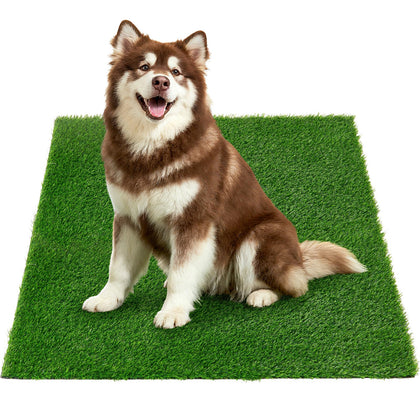 Oiyeefo artificial turf for dogs with soft-paws focus supports comfortable indoor pottying